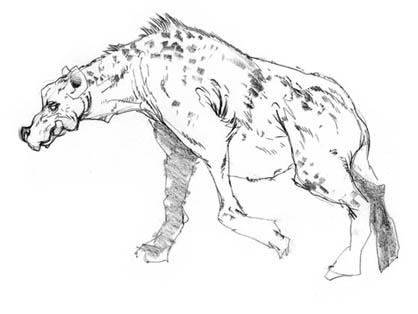 hyena